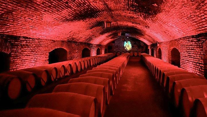 Concha y Toro Wine Center Tour with Marqués de Casa Concha Tasting and Cellars (1/11)