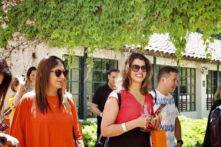 Concha y Toro Wine Center Tour with Marqués de Casa Concha Tasting and Cellars (6/11)