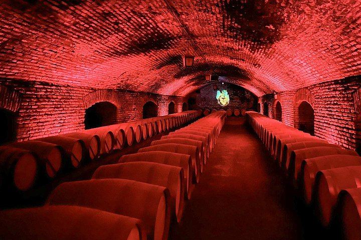 Concha y Toro Wine Center Tour with Marqués de Casa Concha Tasting and Cellars (1/11)