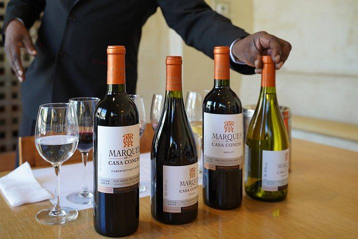 Concha y Toro Wine Center Tour with Marqués de Casa Concha Tasting and Cellars (11/11)