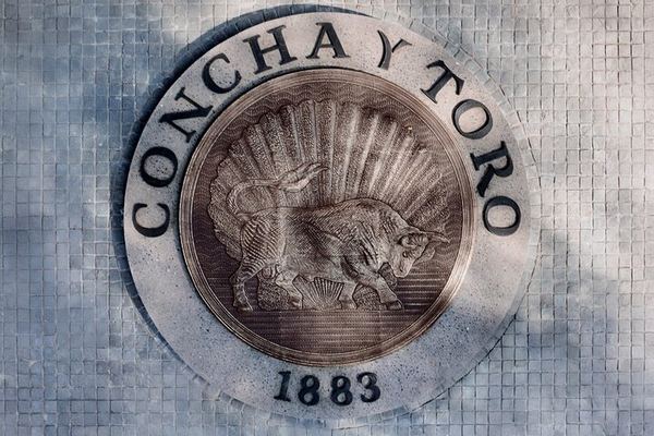 Concha y Toro Wine Center Tour with Marqués de Casa Concha Tasting and Cellars