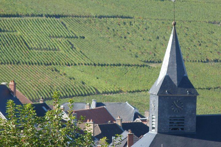Private Reims Champagne Day: Veuve Clicquot Cellars, Cathedral, Rilly-la-Montagne Grower (11/12)