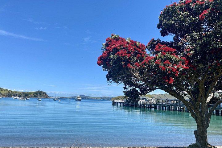 Waiheke Gourmet Food and Wine Tour with Ananda Tours: Oysters, Olive Oil, Whisky (1/12)