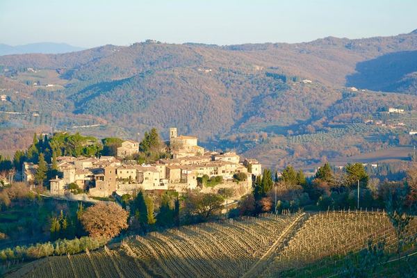 Private Chianti Wine Region Day by Minivan with Winery Lunch and Medieval Hamlets