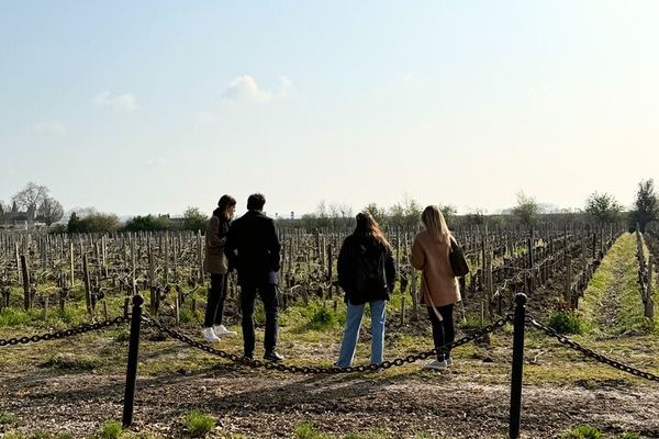 Médoc 1855 Half-Day Private Wine Tour: Grand Cru Classé Family Estate and Château Drive