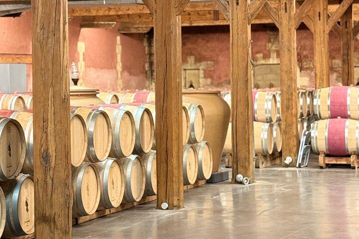 Médoc 1855 Half-Day Private Wine Tour: Grand Cru Classé Family Estate and Château Drive (2/6)