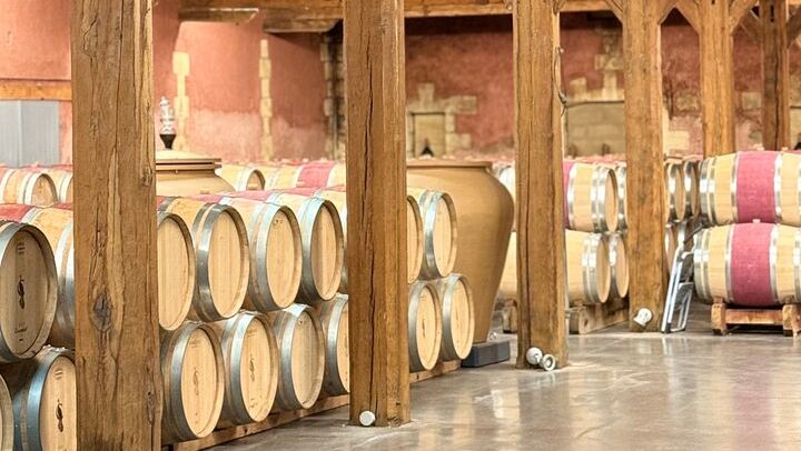 Médoc 1855 Half-Day Private Wine Tour: Grand Cru Classé Family Estate and Château Drive (2/6)