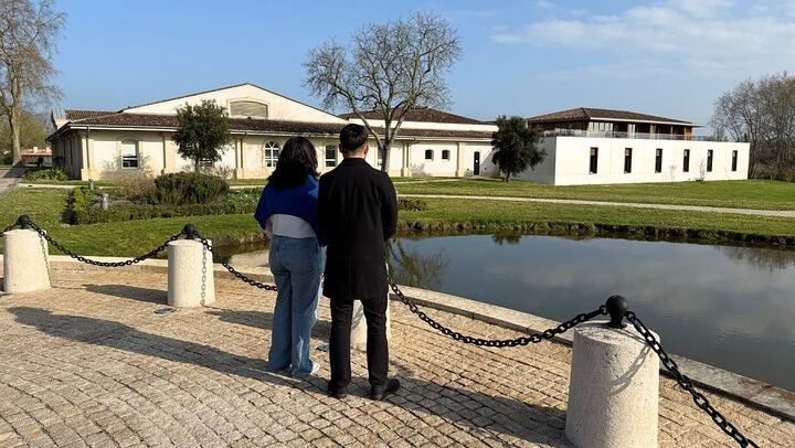 Médoc 1855 Half-Day Private Wine Tour: Grand Cru Classé Family Estate and Château Drive (4/6)