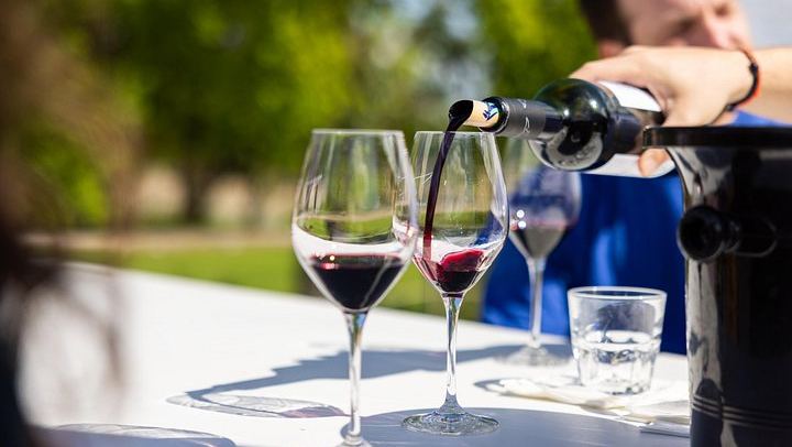 Afternoon Médoc Wine Tour from Bordeaux: Margaux Châteaux, Cheese Pairing, Max 8 Guests (2/11)