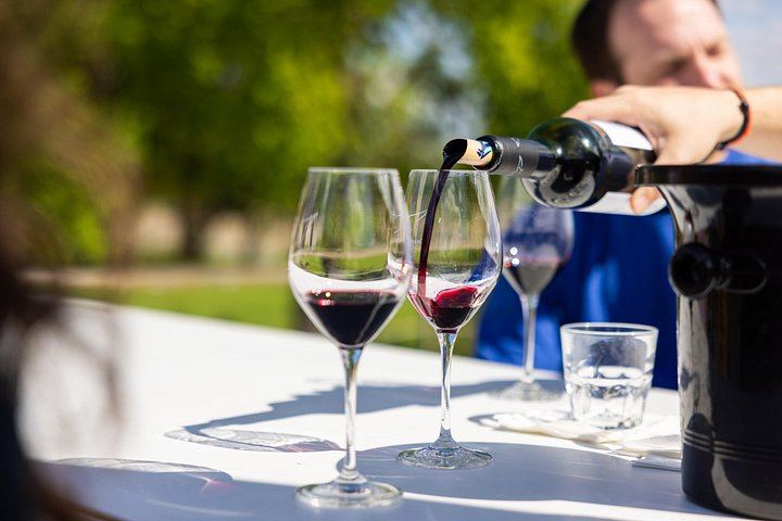 Afternoon Médoc Wine Tour from Bordeaux: Margaux Châteaux, Cheese Pairing, Max 8 Guests (2/11)