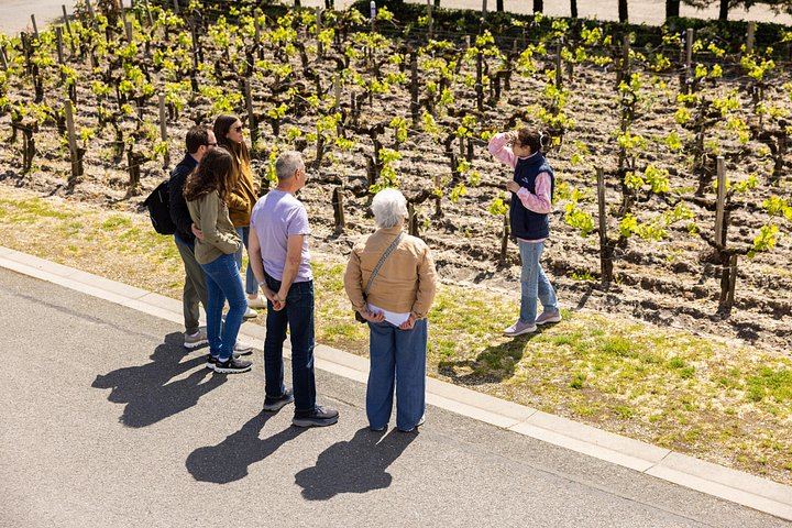 Afternoon Médoc Wine Tour from Bordeaux: Margaux Châteaux, Cheese Pairing, Max 8 Guests (8/11)