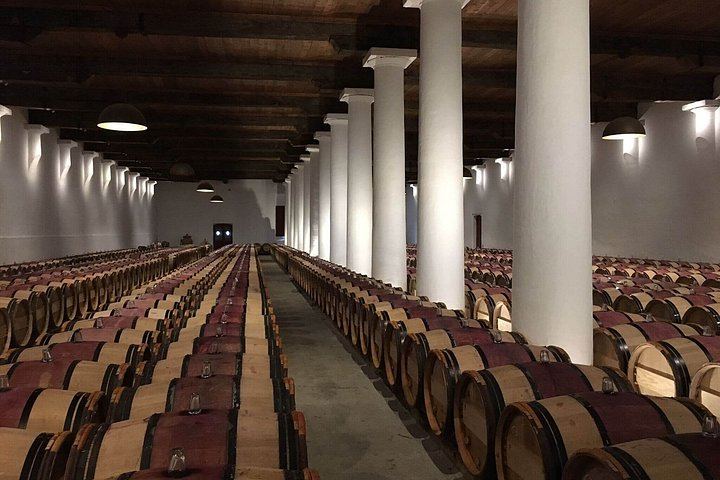 Afternoon Médoc Wine Tour from Bordeaux: Margaux Châteaux, Cheese Pairing, Max 8 Guests (11/11)