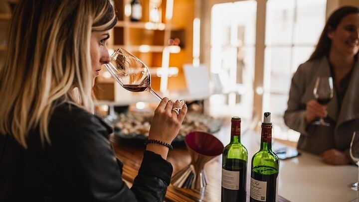 Médoc Food and Wine Day Tour from Bordeaux with Rustic Vines, Three Estate Visits (2/9)