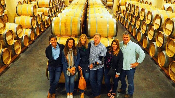 Médoc Food and Wine Day Tour from Bordeaux with Rustic Vines, Three Estate Visits (1/9)
