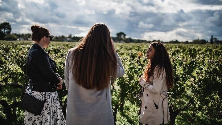 Médoc Food and Wine Day Tour from Bordeaux with Rustic Vines, Three Estate Visits (3/9)