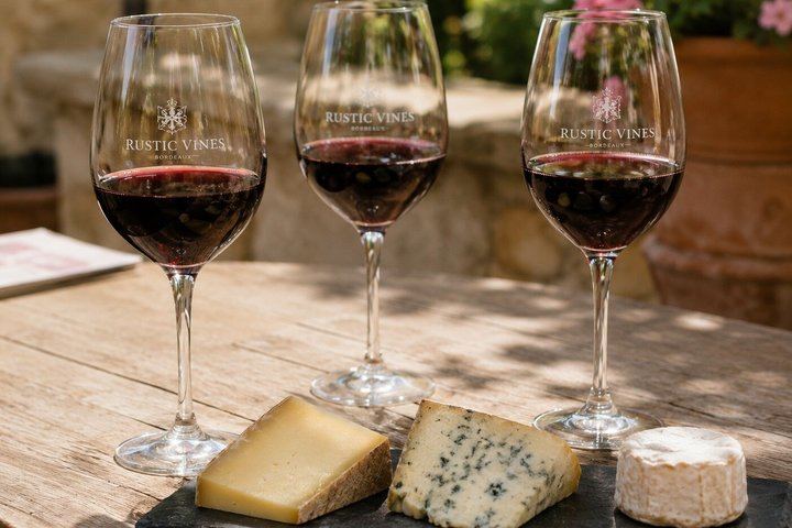 Médoc Food and Wine Day Tour from Bordeaux with Rustic Vines, Three Estate Visits (9/9)