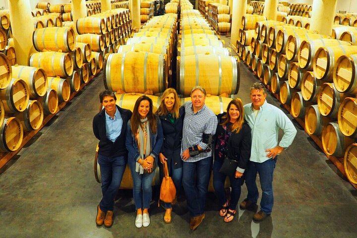 Médoc Food and Wine Day Tour from Bordeaux with Rustic Vines, Three Estate Visits (1/9)