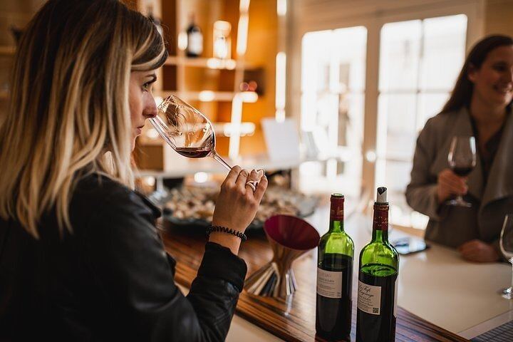 Médoc Food and Wine Day Tour from Bordeaux with Rustic Vines, Three Estate Visits (2/9)