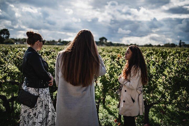 Médoc Food and Wine Day Tour from Bordeaux with Rustic Vines, Three Estate Visits (3/9)