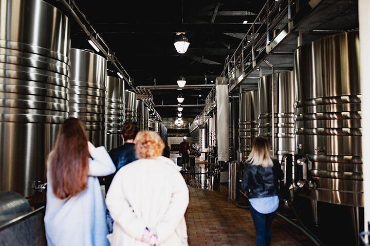 Médoc Food and Wine Day Tour from Bordeaux with Rustic Vines, Three Estate Visits (7/9)