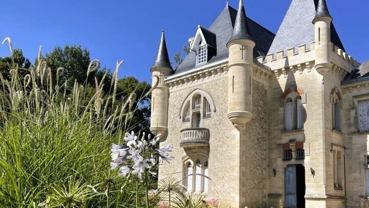 Small-Group Afternoon Wine Tour from Bordeaux: Médoc or Saint-Émilion Château Tasting (1/10)