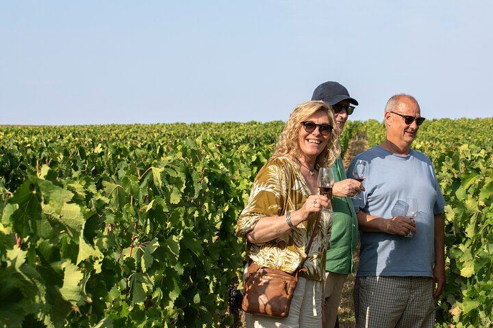 Small-Group Afternoon Wine Tour from Bordeaux: Médoc or Saint-Émilion Château Tasting (3/10)
