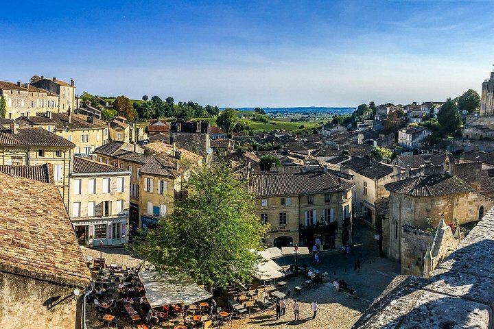 Small-Group Afternoon Wine Tour from Bordeaux: Médoc or Saint-Émilion Château Tasting (5/10)