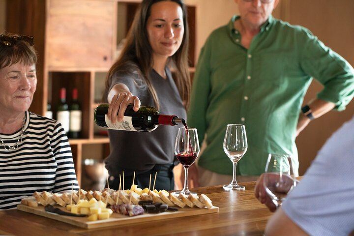 Small-Group Afternoon Wine Tour from Bordeaux: Médoc or Saint-Émilion Château Tasting (6/10)