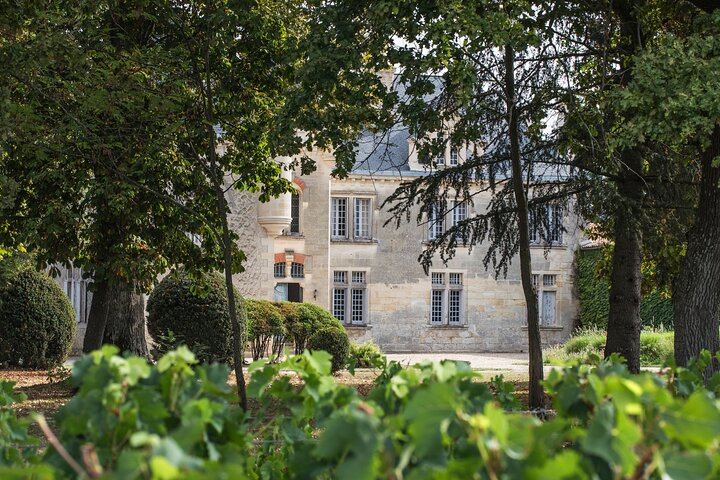 Small-Group Afternoon Wine Tour from Bordeaux: Médoc or Saint-Émilion Château Tasting (9/10)