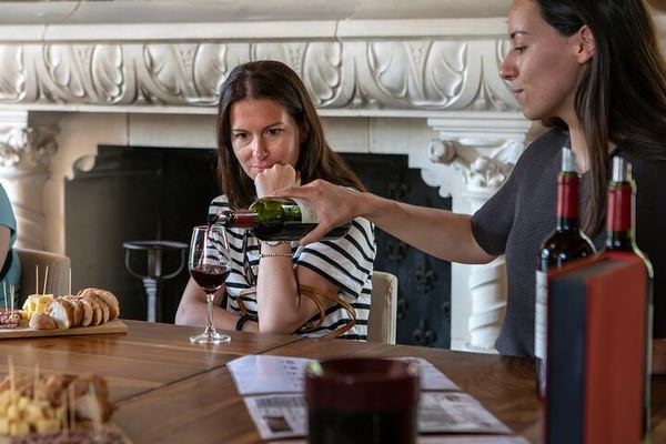 Small-Group Afternoon Wine Tour from Bordeaux: Médoc or Saint-Émilion Château Tasting