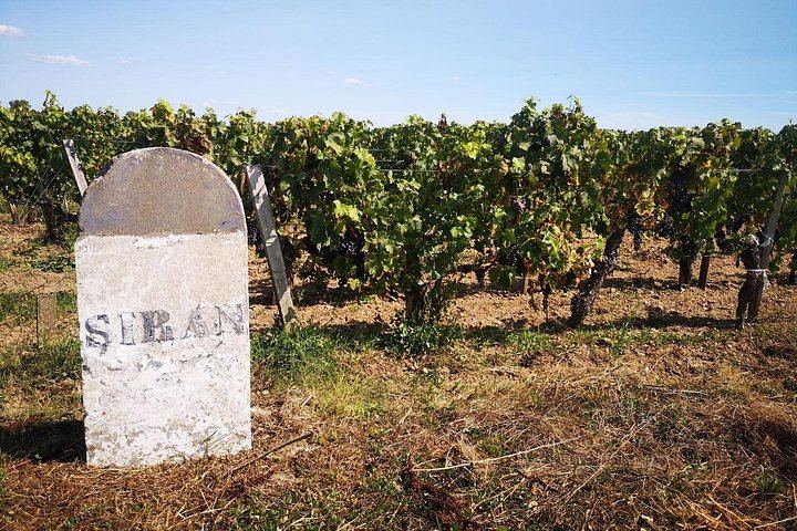 Full-Day Médoc Wine Tour from Bordeaux: Three Wineries, Classified Growths, 9:30am Start (9/10)