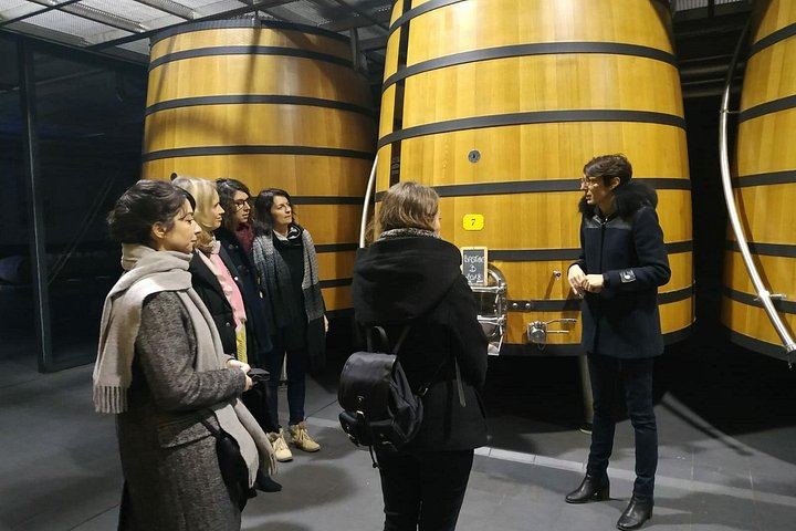 Full-Day Médoc Wine Tour from Bordeaux: Three Wineries, Classified Growths, 9:30am Start (10/10)