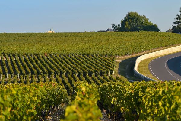 Médoc Wine Tour from Place des Quinconces in Bordeaux with a 5-Wine Tasting Workshop