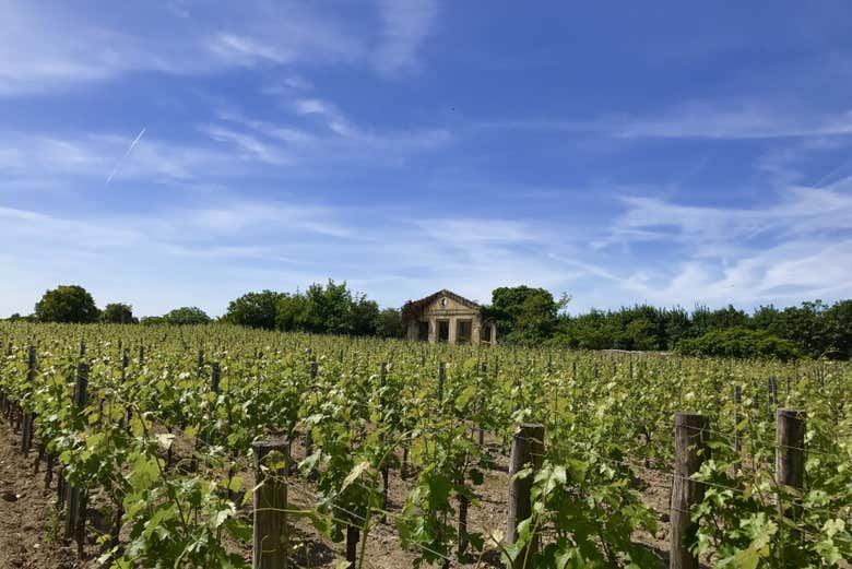 Médoc Wine Tour from Place des Quinconces in Bordeaux with a 5-Wine Tasting Workshop (9/9)