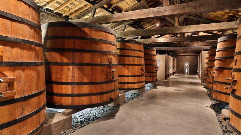 Médoc Wine Tour from Place des Quinconces in Bordeaux with a 5-Wine Tasting Workshop (2/9)