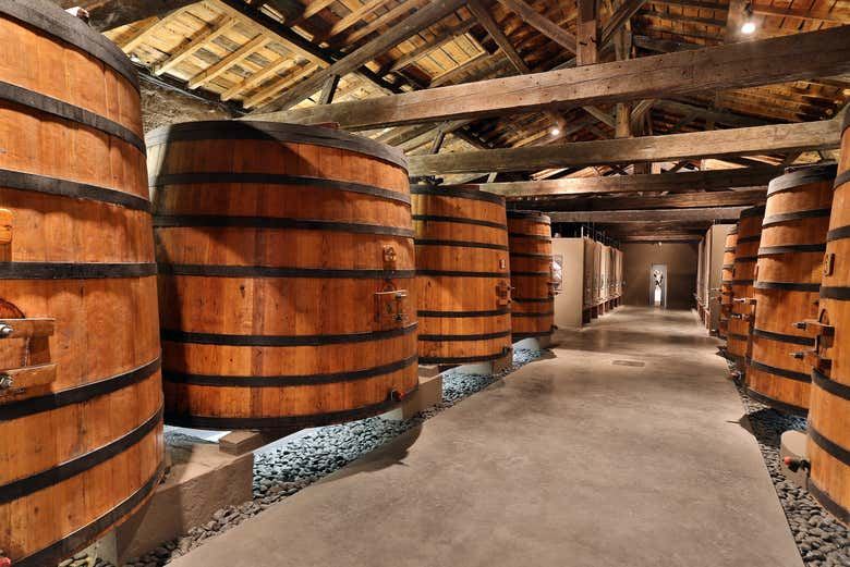 Médoc Wine Tour from Place des Quinconces in Bordeaux with a 5-Wine Tasting Workshop (2/9)