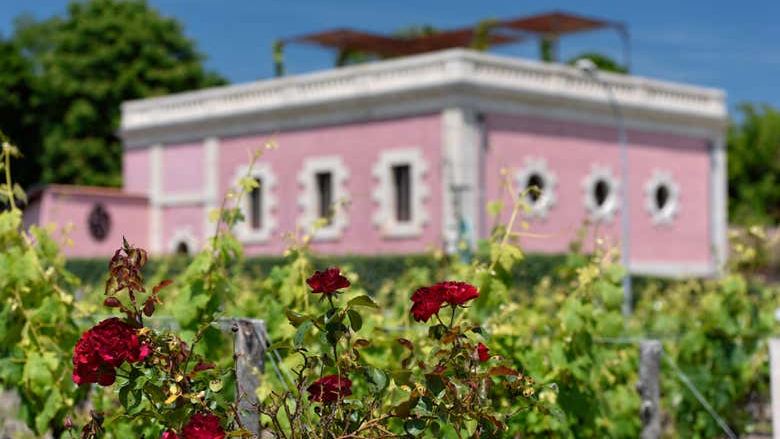 Médoc Wine Tour from Place des Quinconces in Bordeaux with a 5-Wine Tasting Workshop (3/9)
