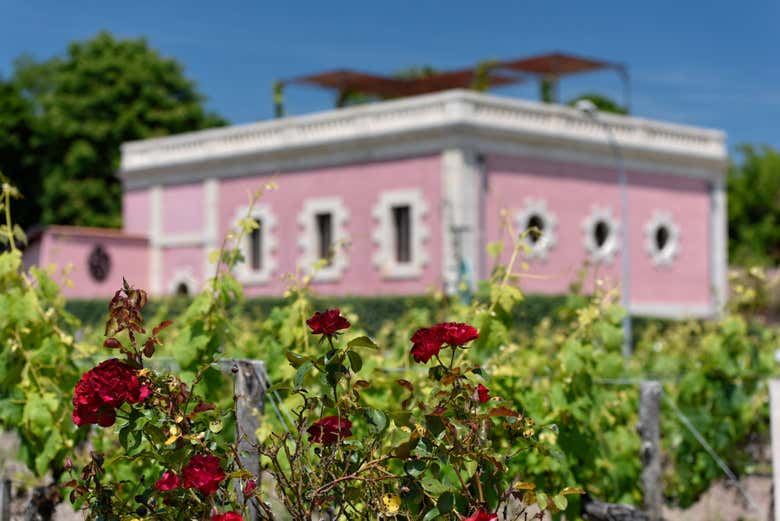 Médoc Wine Tour from Place des Quinconces in Bordeaux with a 5-Wine Tasting Workshop (3/9)