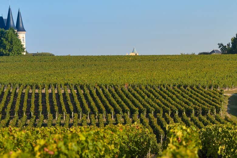 Médoc Wine Tour from Place des Quinconces in Bordeaux with a 5-Wine Tasting Workshop (5/9)