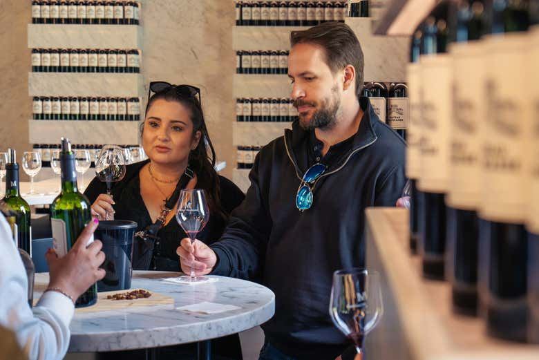 Médoc Wine Tour from Place des Quinconces in Bordeaux with a 5-Wine Tasting Workshop (6/9)