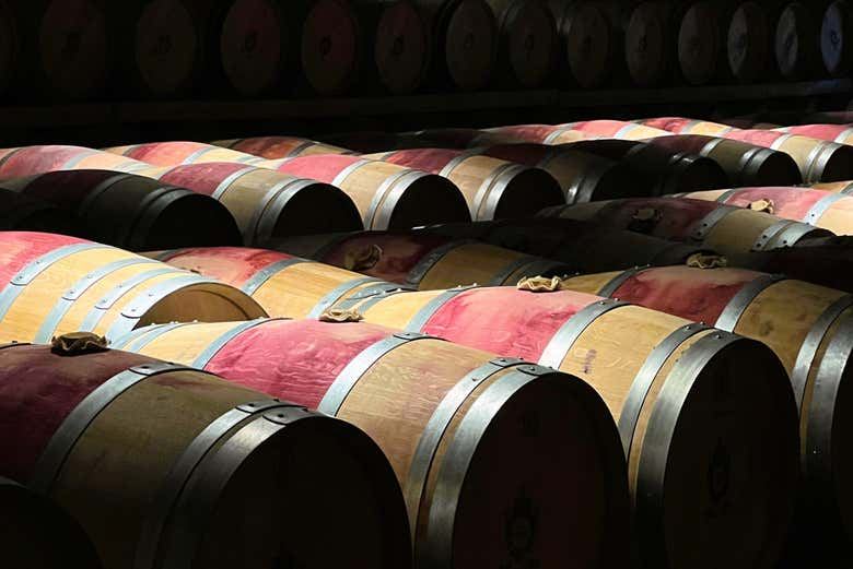 Médoc Wine Tour from Place des Quinconces in Bordeaux with a 5-Wine Tasting Workshop (7/9)