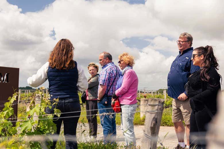 Médoc Wine Tour from Place des Quinconces in Bordeaux with a 5-Wine Tasting Workshop (8/9)