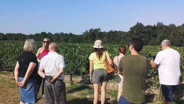 Half-Day Médoc Red Wine Tour from the Cité du Vin: Two Wineries, Six Wines, Margaux (2/12)