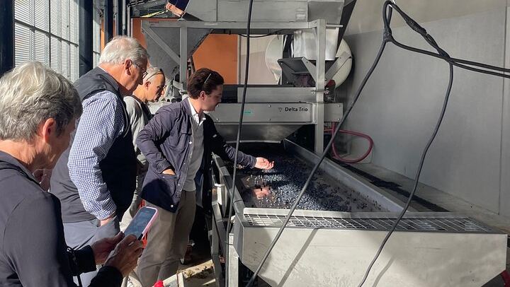 Half-Day Médoc Red Wine Tour from the Cité du Vin: Two Wineries, Six Wines, Margaux (4/12)