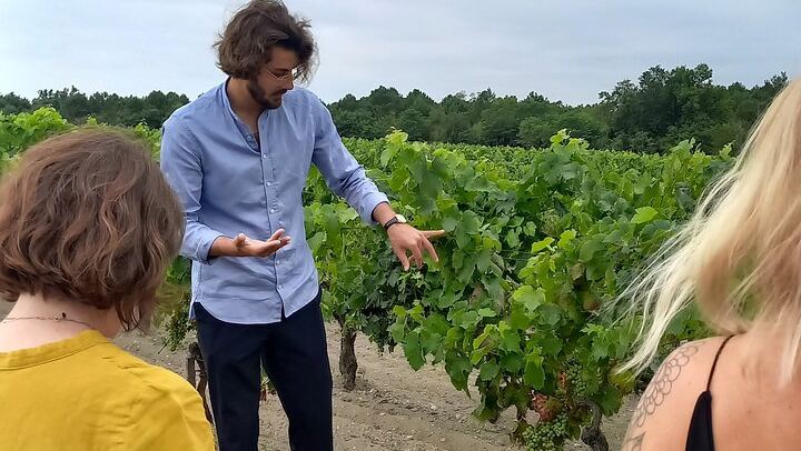 Half-Day Médoc Red Wine Tour from the Cité du Vin: Two Wineries, Six Wines, Margaux (3/12)