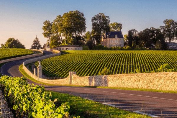 Half-Day Médoc Red Wine Tour from the Cité du Vin: Two Wineries, Six Wines, Margaux
