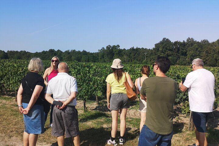 Half-Day Médoc Red Wine Tour from the Cité du Vin: Two Wineries, Six Wines, Margaux (2/12)