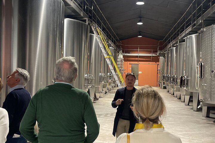 Half-Day Médoc Red Wine Tour from the Cité du Vin: Two Wineries, Six Wines, Margaux (5/12)