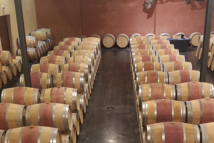 Half-Day Médoc Red Wine Tour from the Cité du Vin: Two Wineries, Six Wines, Margaux (6/12)