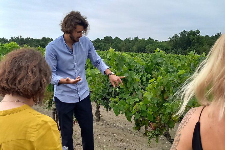 Half-Day Médoc Red Wine Tour from the Cité du Vin: Two Wineries, Six Wines, Margaux (3/12)